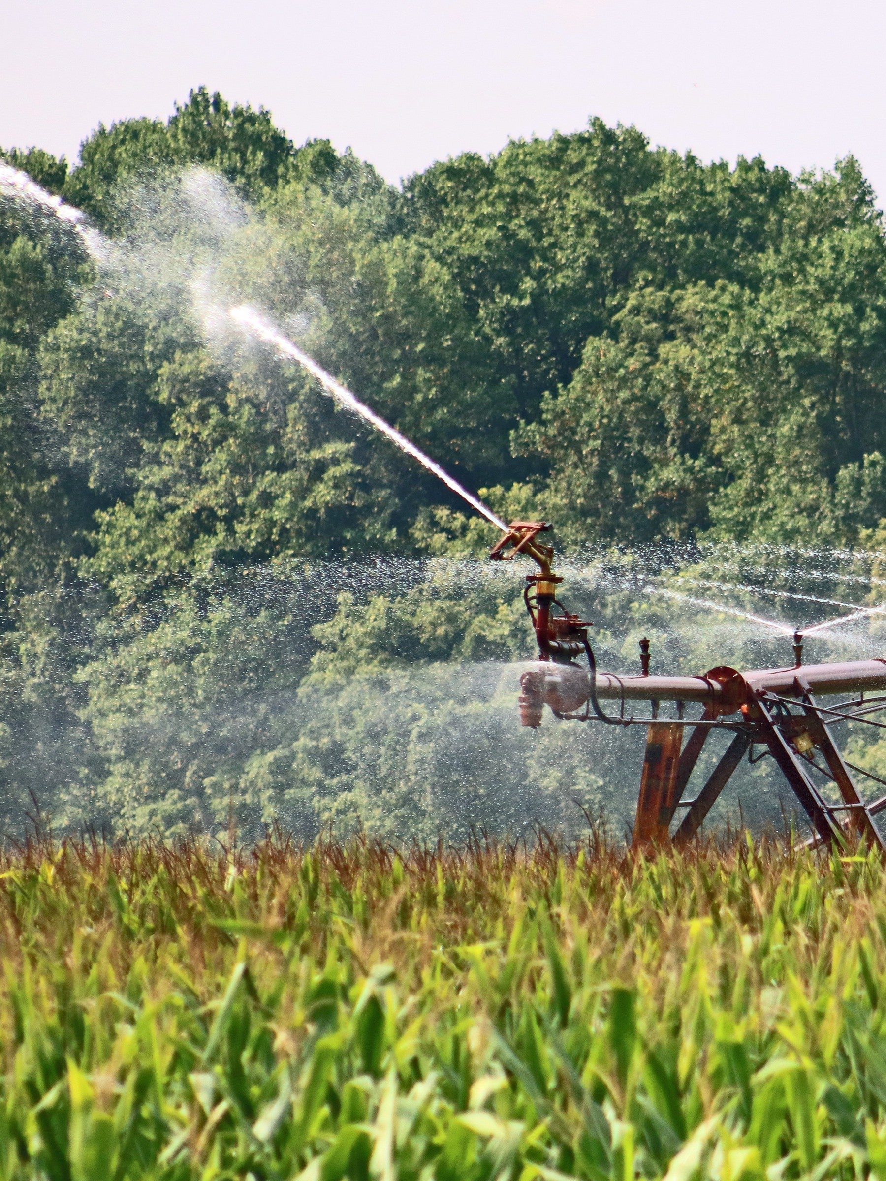 Irrigation