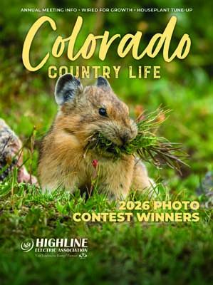 March 2026 CCL Cover